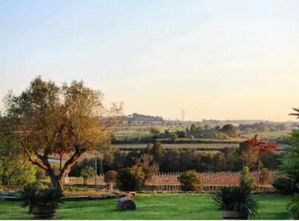 Masia Olivera Sant Pau d'Ordal Luaran gambar